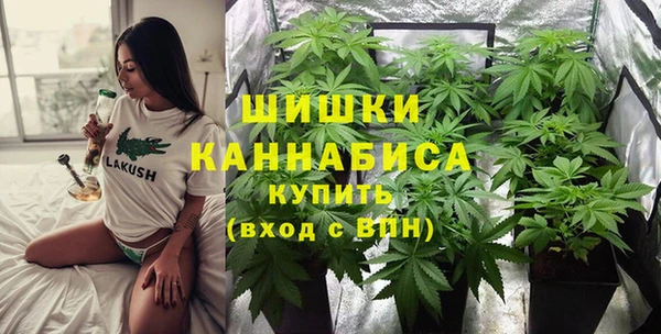 молекула духа Магас