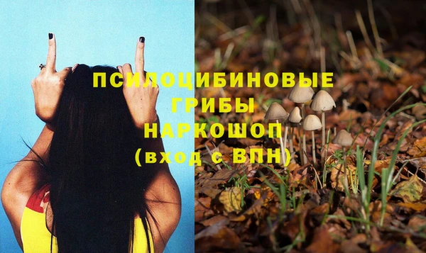 гидропоника Липки