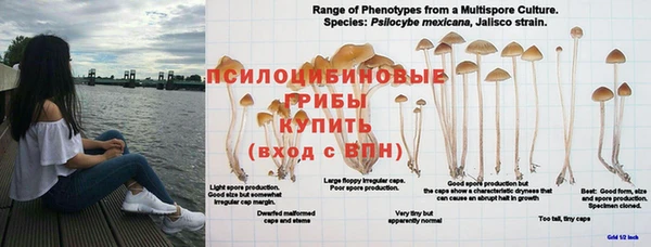 хмурый Магадан