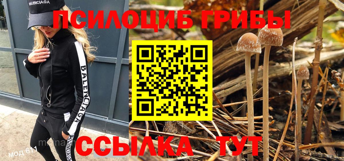 что такое наркотик  Мыски  Псилоцибиновые грибы MAGIC MUSHROOMS  Псилоцибиновые грибы мухоморы 