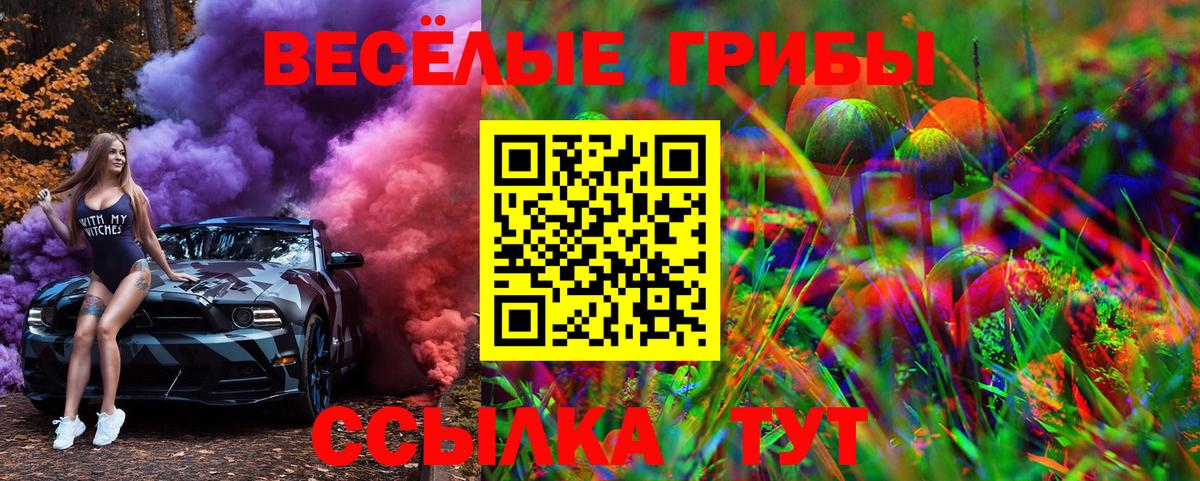 наркота  Галлюциногенные грибы Cubensis  Вход с VPN  Псилоцибиновые грибы Psilocybine cubensis  Мыски 