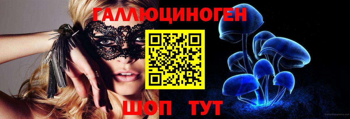 Галлюциногенные грибы Psilocybine cubensis Мыски